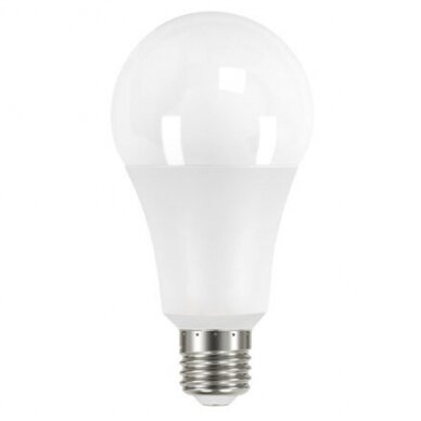 LED LEMPUTĖ A80 20W E27 220-240V GREELUX (3000K)