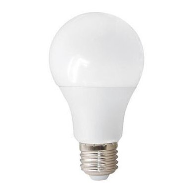 LED LEMPUTĖ E27 A60 bulb 12W DW