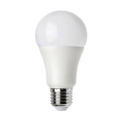 LED LEMPUTĖ E27 A65 bulb 15W WW